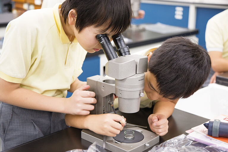 中学への橋渡し授業